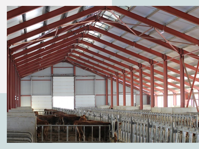 Строительство коровников в Удомле