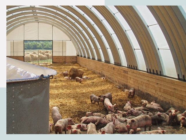 Строительство свинарников в Удомле