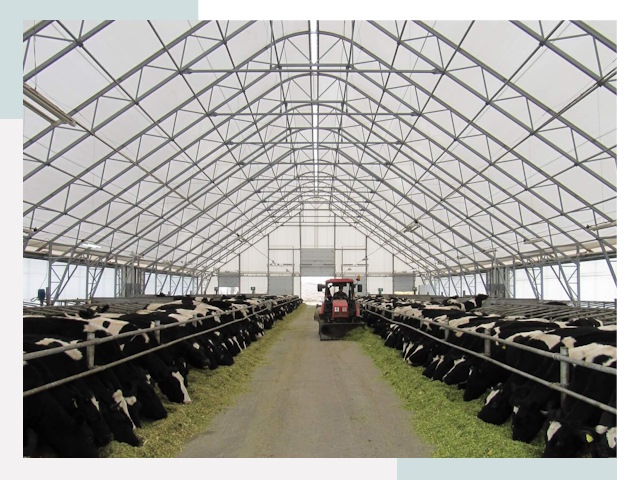 Тентовые коровники в Удомле от 623 руб. - Надежно и доступно