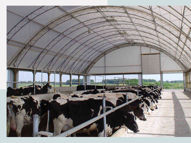 Тентовые коровники в Удомле